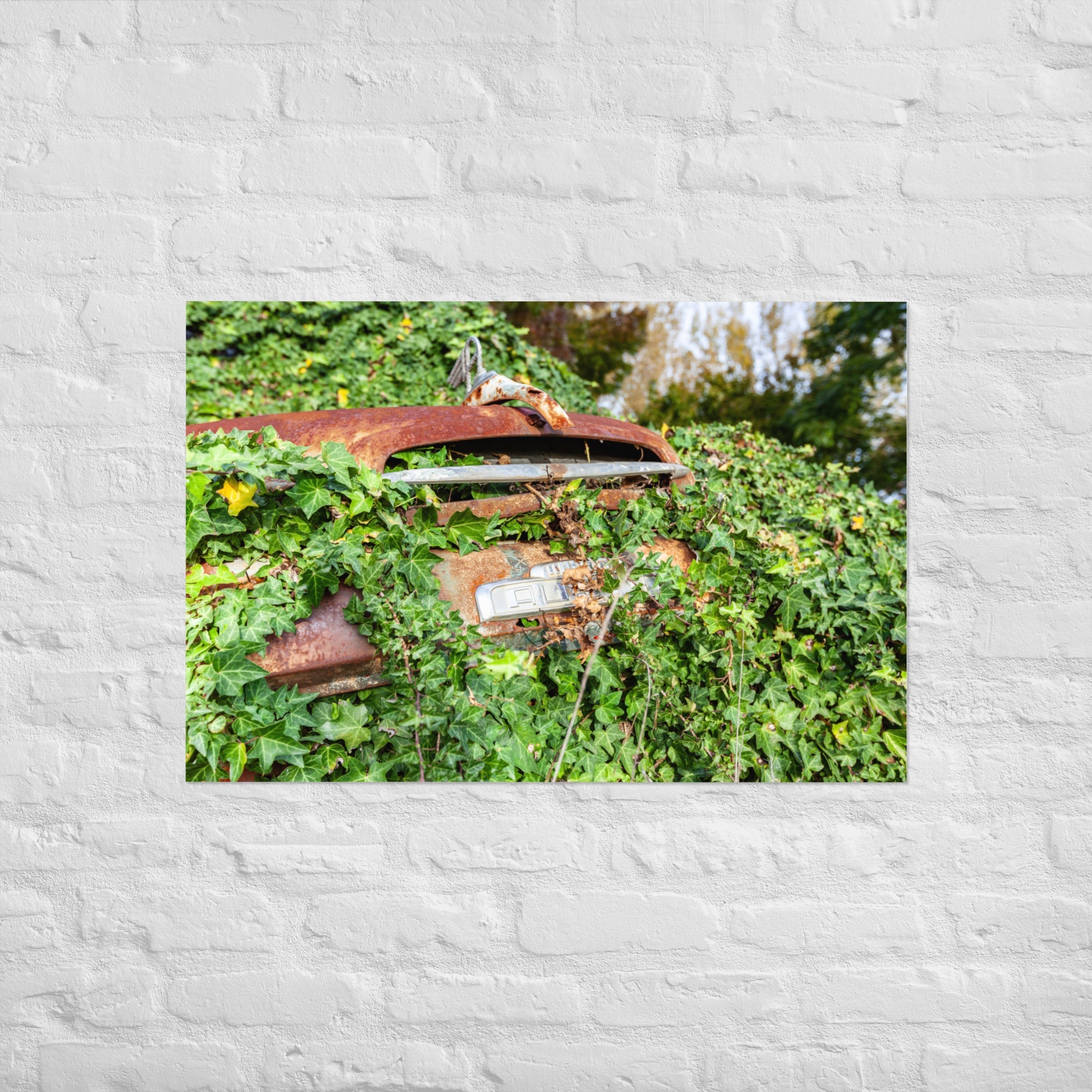 Austin Versus Nature Art Paper Poster