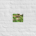 Austin Versus Nature Art Paper Poster
