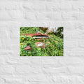 Austin Versus Nature Art Paper Poster