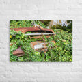 Austin Versus Nature Thick Canvas Print