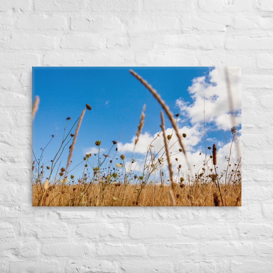 Hukatere Fields Thick Canvas Print