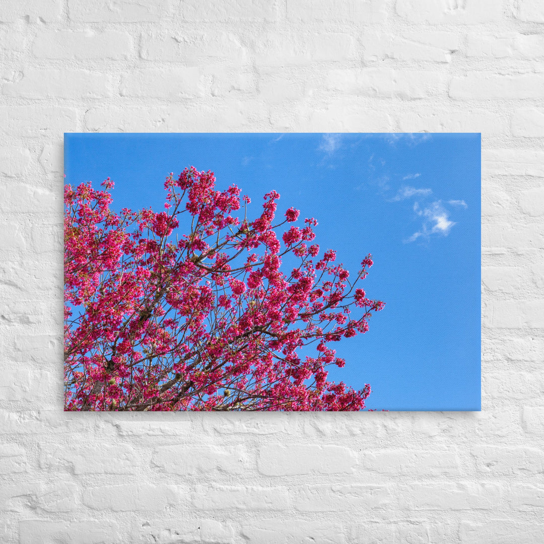 Kaipara Spring Blossoms Thick Canvas Print
