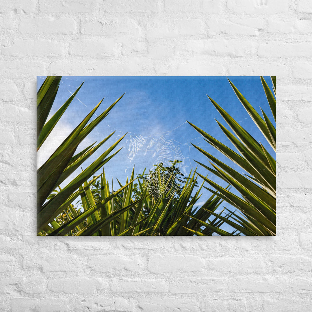 Matakohe Palm Web Thick Canvas Print