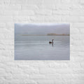 Turangi Swan Art Paper Poster